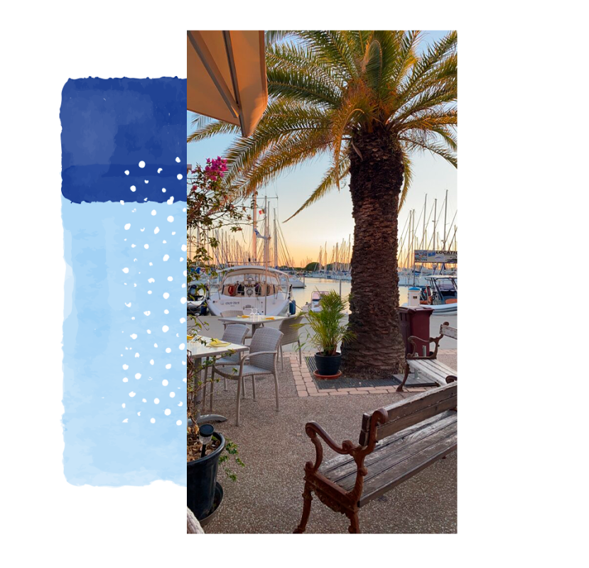 Le Cabanon - Restaurant Le Grau-du-Roi - manger a LE GRAU-DU-ROI